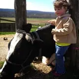 Kelder's Farm photo