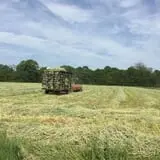 Kelder's Farm photo