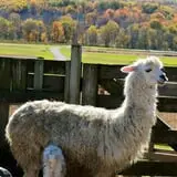 Kelder's Farm photo