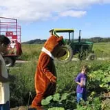 Kelder's Farm photo