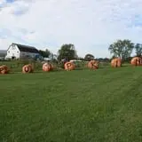 Kelder's Farm photo