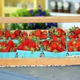 Kelder's Farm photo