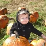 Kelder's Farm photo