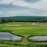 Kelder's Farm photo