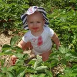 Kelder's Farm photo
