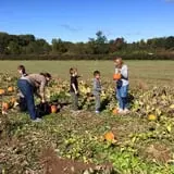 Kelder's Farm photo