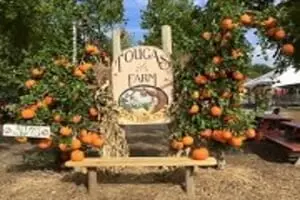 Tougas Family Farm