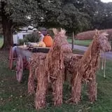 Carpenter's Pumpkin Farm photo