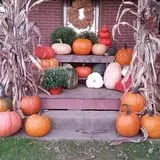 Carpenter's Pumpkin Farm photo
