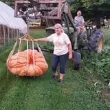 Carpenter's Pumpkin Farm photo