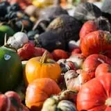 Carpenter's Pumpkin Farm photo