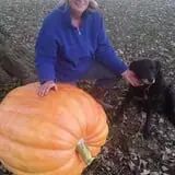 Carpenter's Pumpkin Farm photo