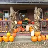 Carpenter's Pumpkin Farm photo