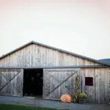 Carpenter's Pumpkin Farm photo