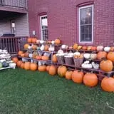 Carpenter's Pumpkin Farm photo
