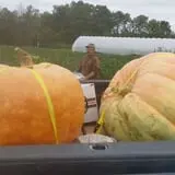 Carpenter's Pumpkin Farm photo