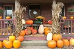 Carpenter's Pumpkin Farm