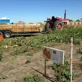 Oklahoma Heritage Farm photo