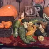 Oklahoma Heritage Farm photo