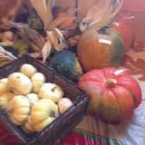 Oklahoma Heritage Farm photo