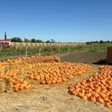 Oklahoma Heritage Farm photo