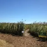 Oklahoma Heritage Farm photo