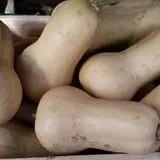 Calkins Farm Stand photo