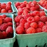 Calkins Farm Stand photo