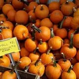 Calkins Farm Stand photo