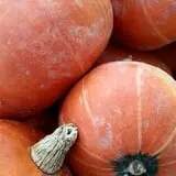 Calkins Farm Stand photo
