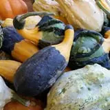 Calkins Farm Stand photo
