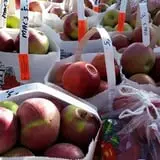 Calkins Farm Stand photo