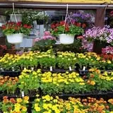 Calkins Farm Stand photo
