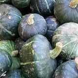 Calkins Farm Stand photo