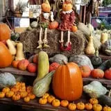 Calkins Farm Stand photo