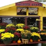 Calkins Farm Stand photo