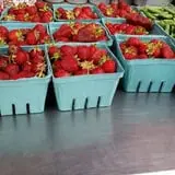 Calkins Farm Stand photo