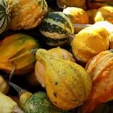 Calkins Farm Stand photo