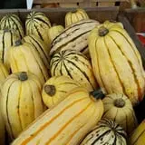 Calkins Farm Stand photo