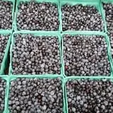 Calkins Farm Stand photo