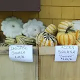 Calkins Farm Stand photo