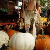 Calkins Farm Stand photo