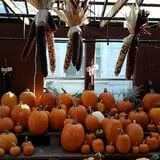 Calkins Farm Stand photo