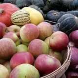 Calkins Farm Stand photo
