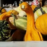 Calkins Farm Stand photo