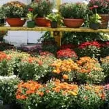 Calkins Farm Stand photo