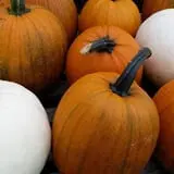 Calkins Farm Stand photo