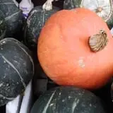 Calkins Farm Stand photo