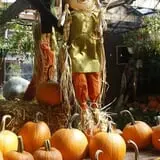 Calkins Farm Stand photo