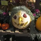 Calkins Farm Stand photo